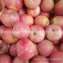 Китайский поставщик высококачественного свежего Qinguan Apple